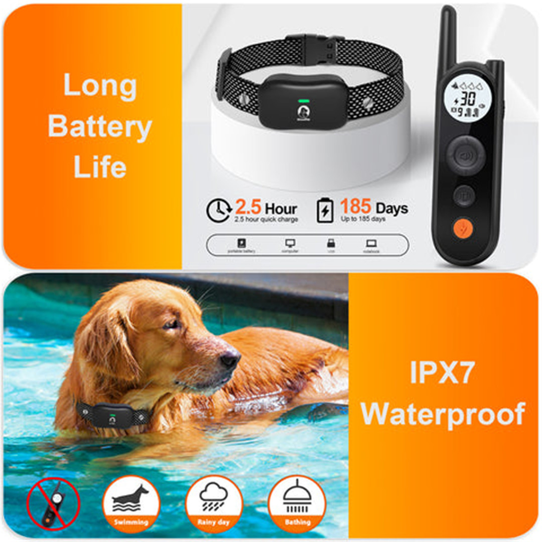 What Is A Good Wireless Dog Fence (3)