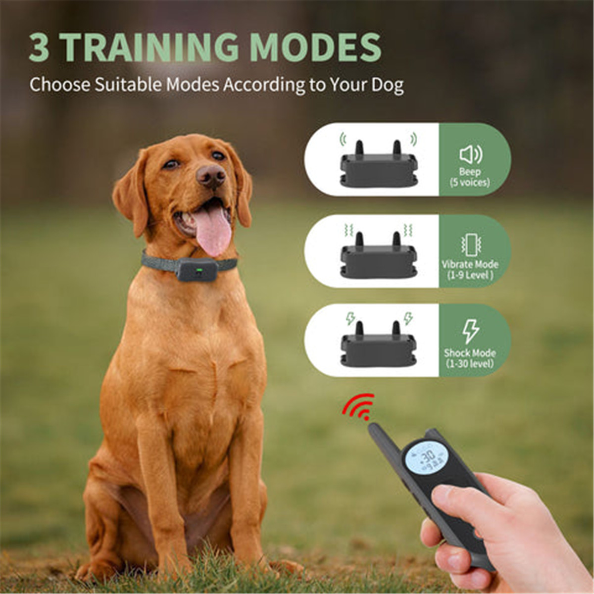 What Is Dog Training Collar (3)