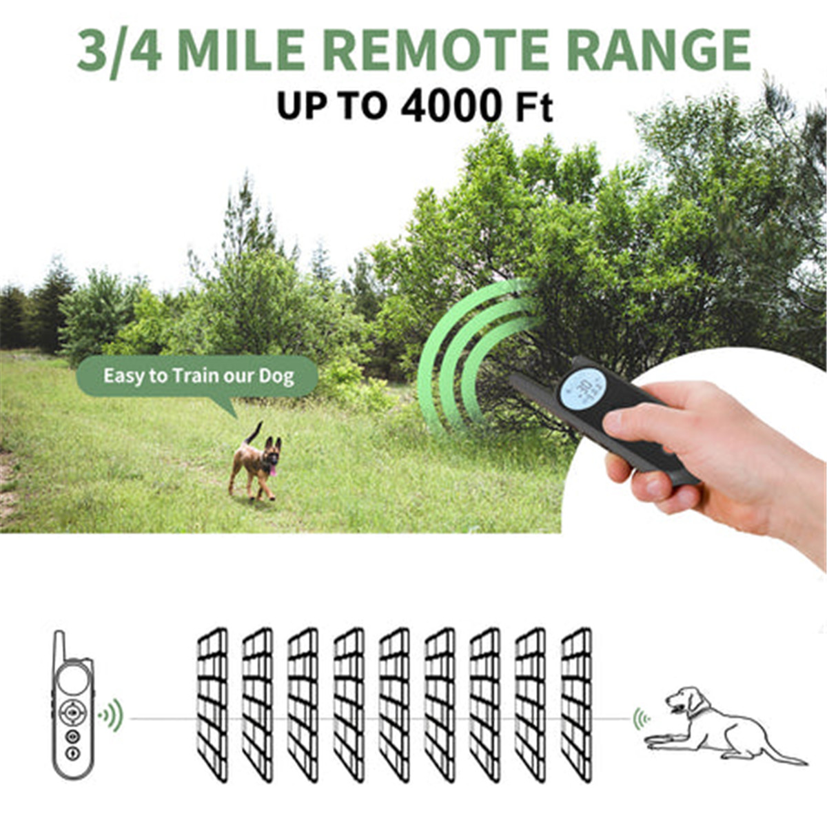 What Is Dog Training Collar (4)